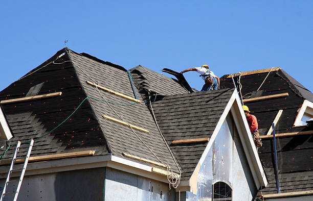 Best Gutter Installation and Roofing  in Brundidge, AL