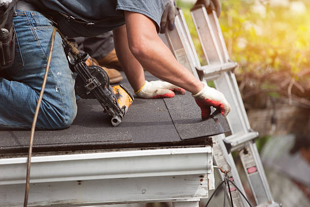 Professional Roofing Contractor in Brundidge, AL