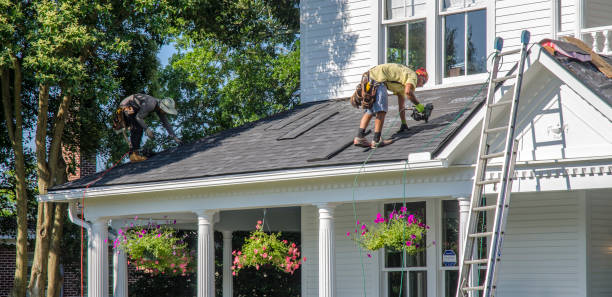 Best Storm Damage Roof Repair  in Brundidge, AL